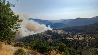 Bursa-Balıkesir sınırında orman yangını