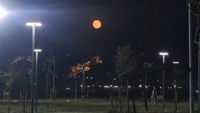 Van Kalesi dolunayda manzarası ile hayran bıraktı
