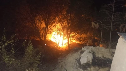 Malatya'da çıkan yangında bahçe küle döndü