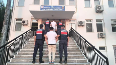 Lapseki'de orman yangının sebebi sigara izmariti çıktı