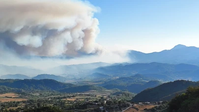 Suriye’den Hatay'a sıçrayan alevler kontrol altına alındı