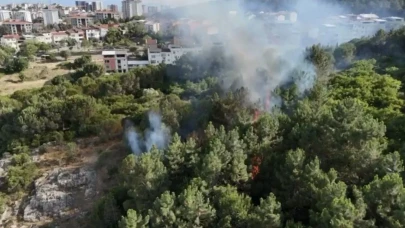 Pendik'te Aydos Ormanı'nda yangın