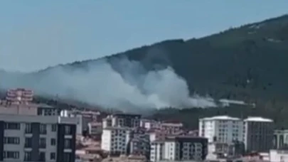 Pendik Aydos Ormanı’nda yangın kontrol altına alındı