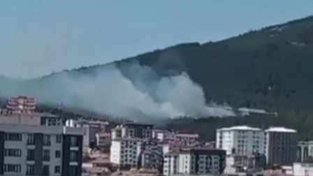 Pendik Aydos Ormanı’nda yangın kontrol altına alındı