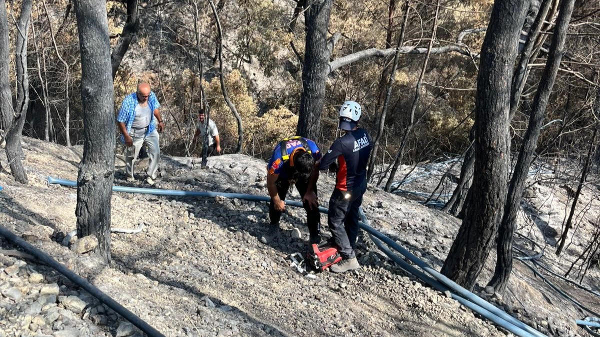 Hatay'da uçurumdan düşerek mahsur kaldı