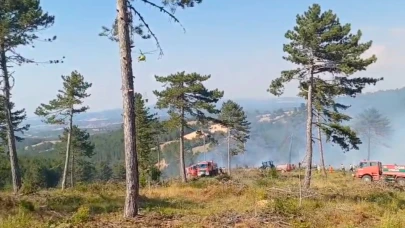 Kütahya'da gençleştirme sahasında çıkan orman yangını söndürüldü