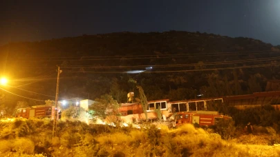 Havai fişekler ağaçlık alanda yangınına sebep oldu