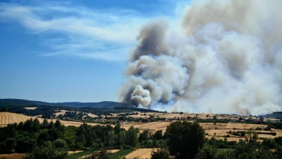 Keşan'da orman yangınına müdahale sürüyor
