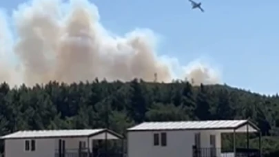 Urla'da makilik alanda yangın