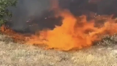 Tunceli’de otluk ve ormanlık alanda yangın