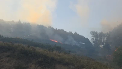 Bursa'da orman yangını