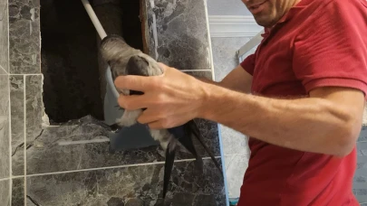 Havalandırma boşluğuna düşen kargayı vatandaş kurtardı
