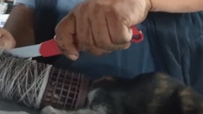 Bobine sıkışan yavru kedi kurtarıldı