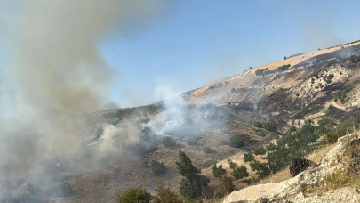 Adıyaman'da korkutan orman yangın!