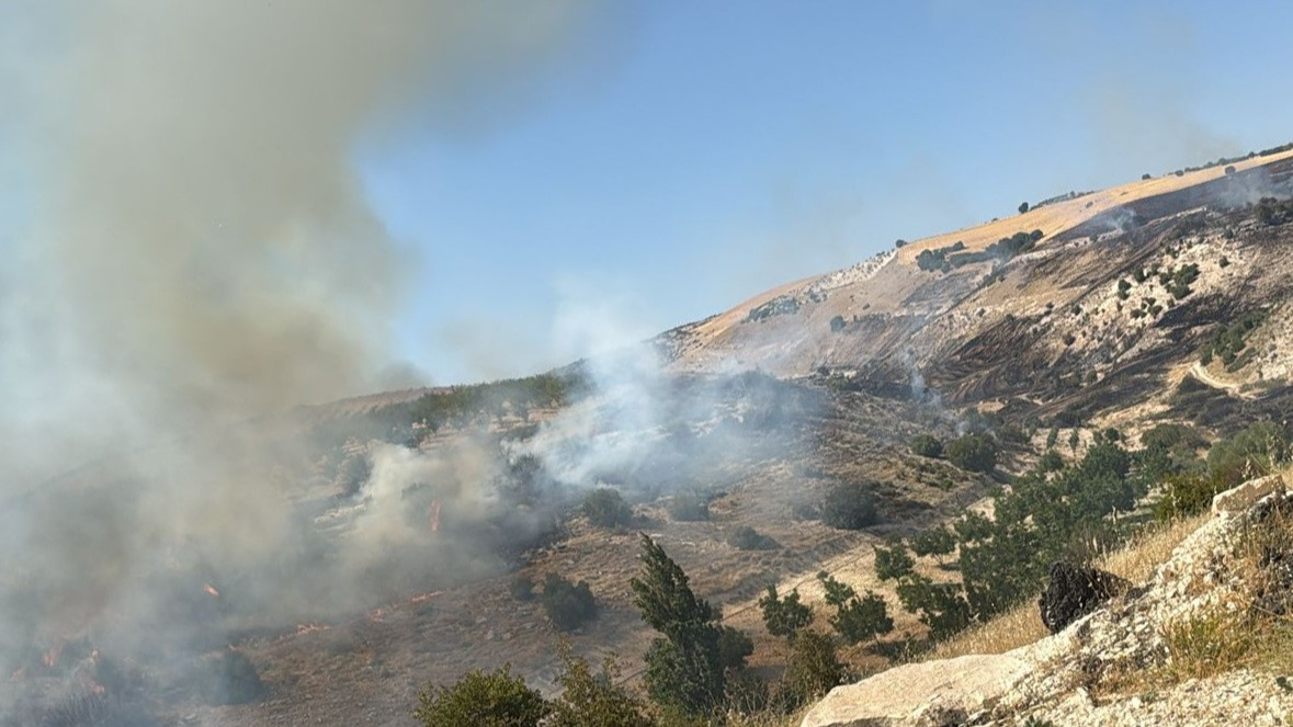 Adıyaman'da korkutan orman yangın!