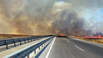 Edirne'de anız yangını! Kara yolu kapatıldı