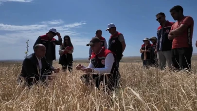 Kars’ta hasat mevsimi başladı