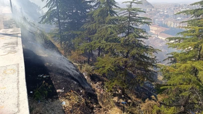 Ağaçlık alanda yangın çıktı