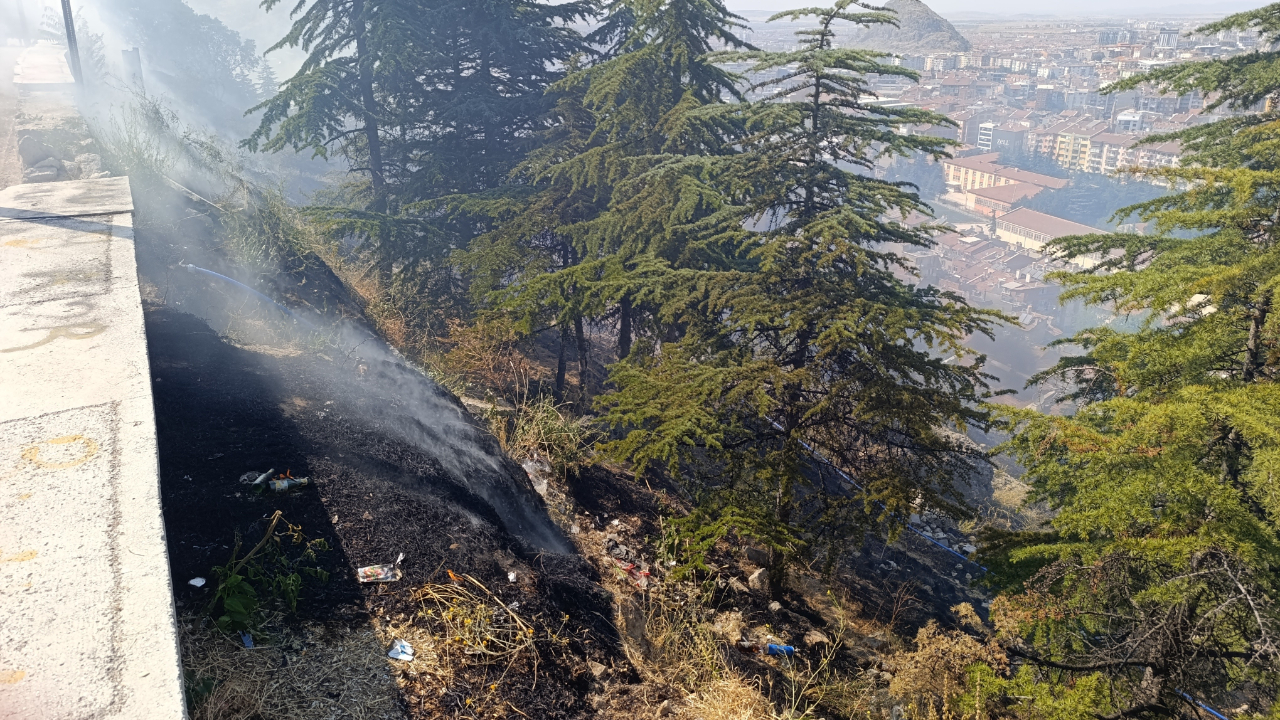Ağaçlık alanda yangın çıktı