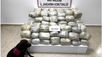 70 kilogram skunk madde ele geçirildi