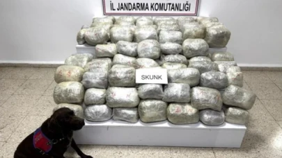 70 kilogram skunk madde ele geçirildi