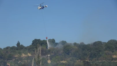 Çanakkale Erenköy'deki yangın kontrol altına alındı