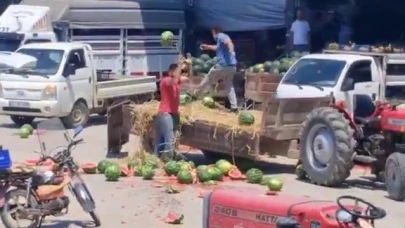 Karpuzları parçalayan üreticiler hakkında işlem başlatıldı
