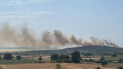 Bursa'da iki ayrı noktada orman yangını! Müdahale sürüyor