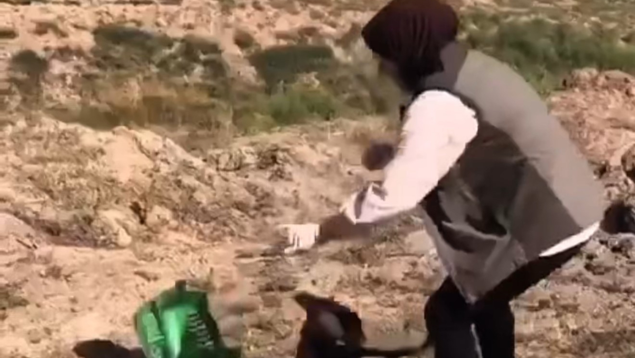 Yaralı kızıl şahin tedavi edilip doğaya salındı