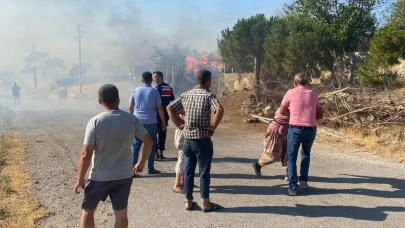 Ayvacık’ta orman yangını köye ulaştı: Evler küle döndü