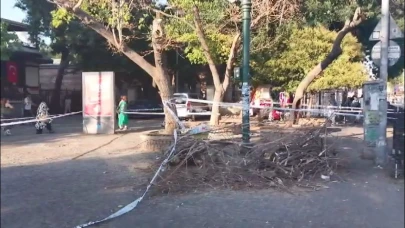 Beşiktaş'ta ağaç devrildi: 3 kişi yaralandı