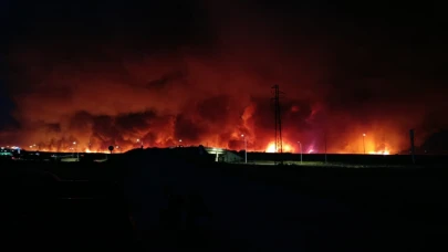 Tekirdağ'da orman yangını geceyi aydınlattı