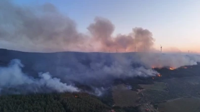 Tekirdağ'da korkutan orman yangını!