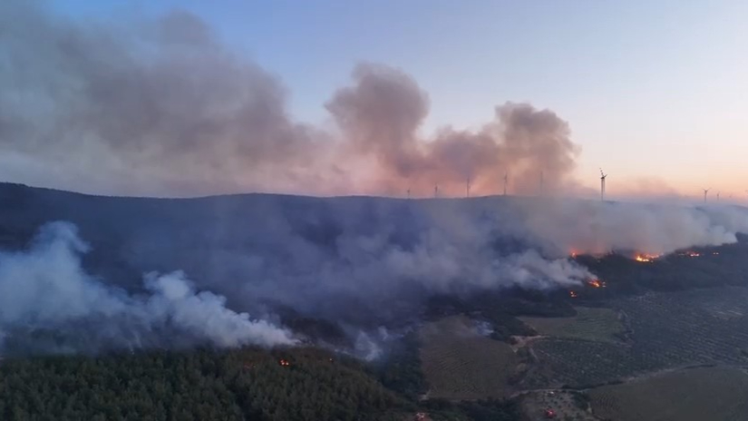 Tekirdağ'da korkutan orman yangını!