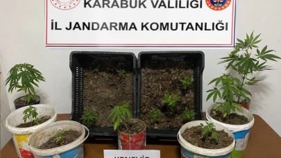 Karabük'te iki evde 14 kök kenevir ele geçirildi