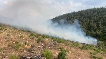 Aynı bölgede 15 günde 2'nci orman yangını