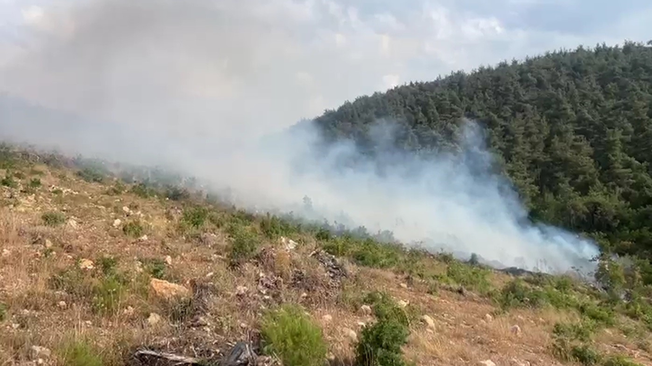 Aynı bölgede 15 günde 2'nci orman yangını