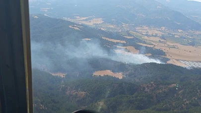 Bolu'da korkutan orman yangını