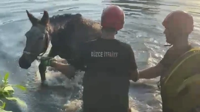 Çaya düşen eşek itfaiye ekiplerince kurtarıldı