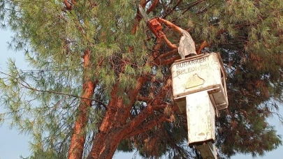 Buharkent Belediyesi'nden anında müdahale