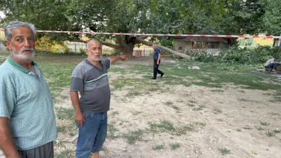 Piknik alanında ağaç dalı devrildi: 11 yaralı