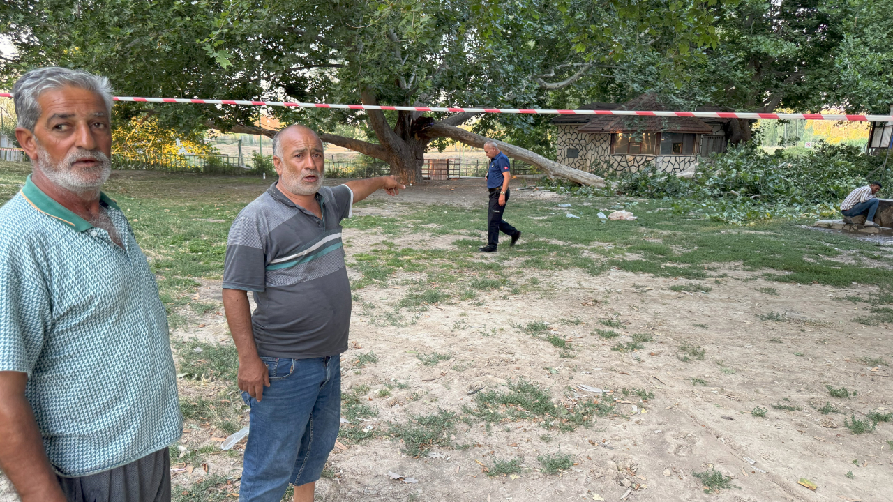 Piknik alanında ağaç dalı devrildi: 11 yaralı