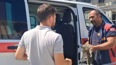 Arabaya sıkışan kedi kurtarıldı