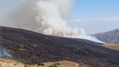 Elazığ'daki yangında 500 dönüm alan zarar gördü