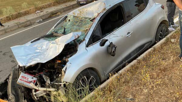 Muş'ta otomobil ineğe çarptı: 1 yaralı