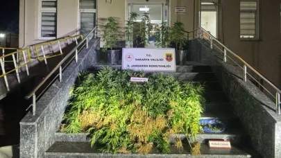 Jandarmadan uyuşturucu operasyonu: 1 tutuklu