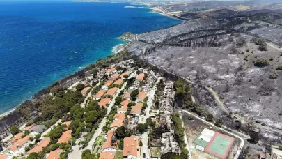 Ormanların yandığı alanlarda heyelan riski!