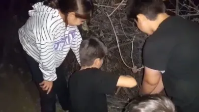 Dikenli tellere dolanan kirpiyi çocuklar kurtardı