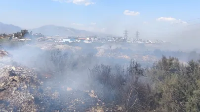 Aydın'da kanal kenarında çıkan yangın söndürüldü