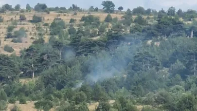 Bolu’da yıldırım kaynaklı çıkan yangınlar söndürüldü